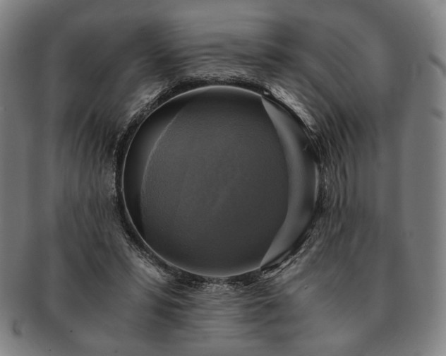 X0000091480399200708231405