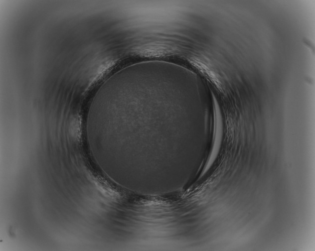 X0000091480400200708231405