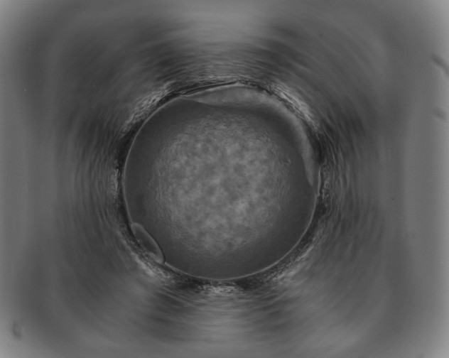 X0000091480401200708231405