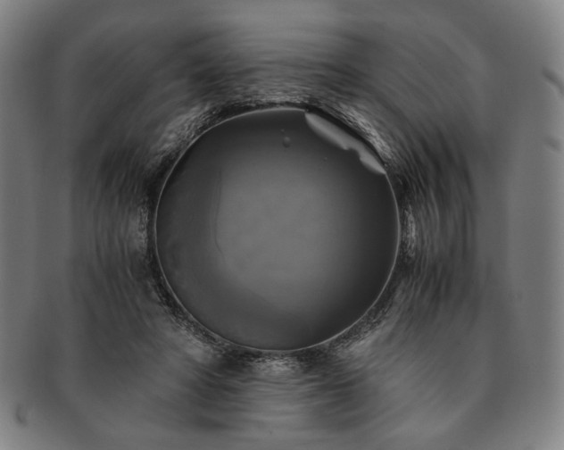 X0000091480402200708231404