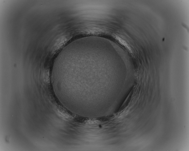 X0000091480403200708231404