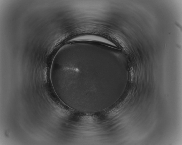 X0000091480404200708231404