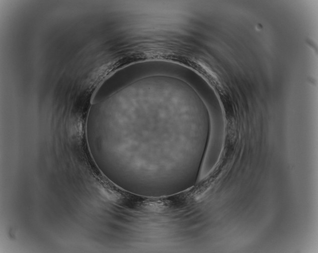 X0000091480405200708231404