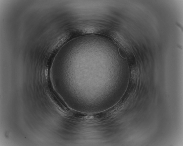 X0000091480406200708231404