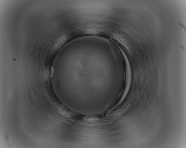 X0000091480407200708231404