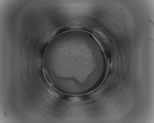 X0000091480409200708231404