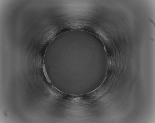 X0000091480411200708231404