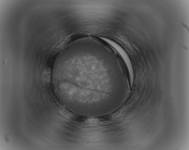 X0000091480413200708231404