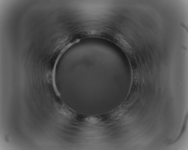 X0000091480419200708231404