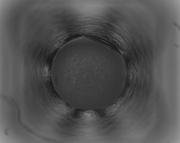 X0000091480420200708231404