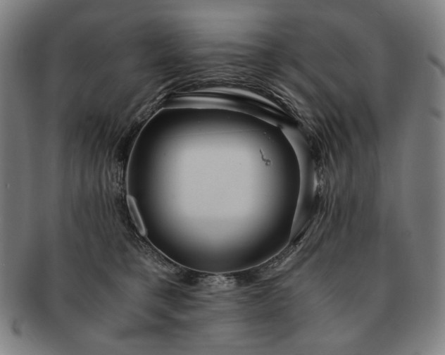 X0000091480421200708231404