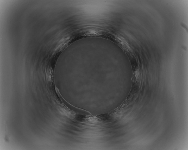 X0000091480423200708231404