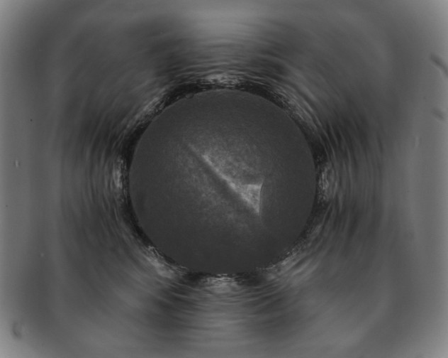 X0000091480424200708231404