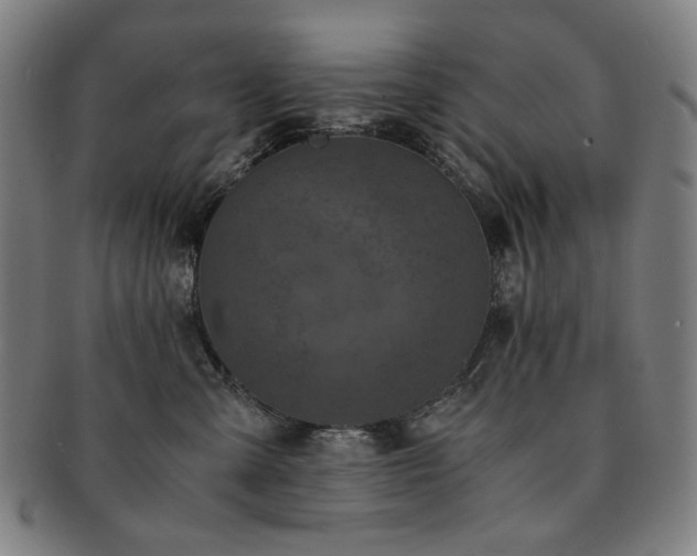 X0000091480427200708231404