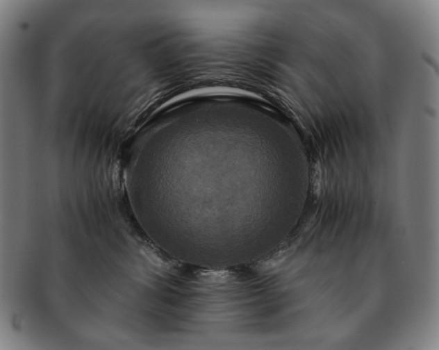 X0000091480428200708231404