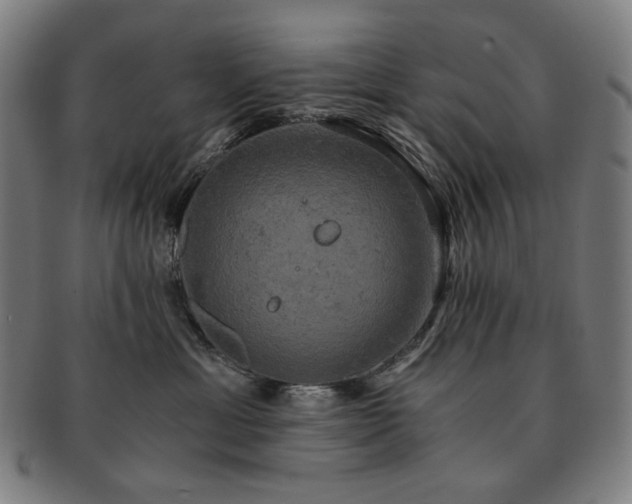 X0000091480429200708231404