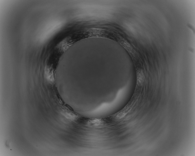 X0000091480431200708231404