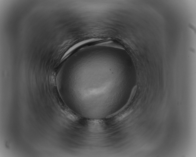 X0000091480432200708231404