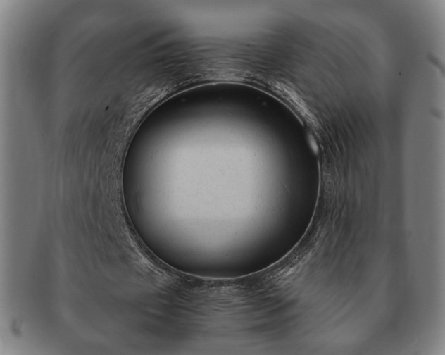 X0000091480433200708231403