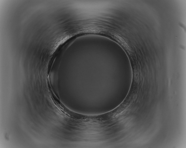 X0000091480434200708231403