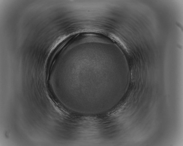 X0000091480436200708231403