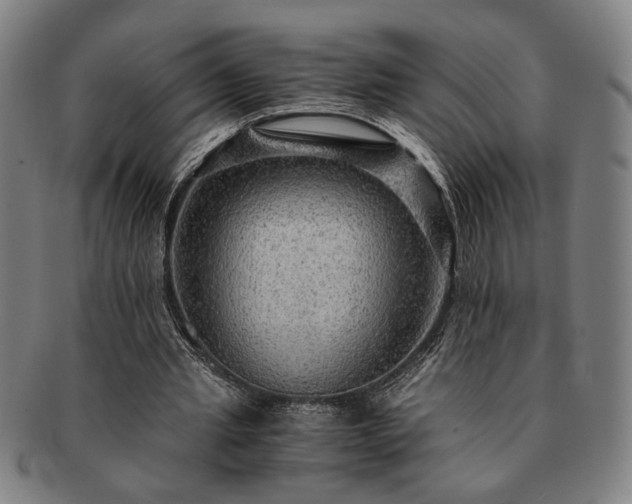 X0000091480437200708231403