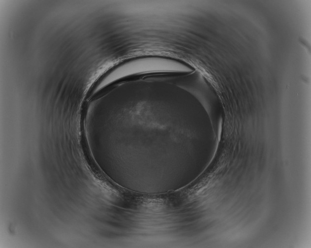 X0000091480438200708231403