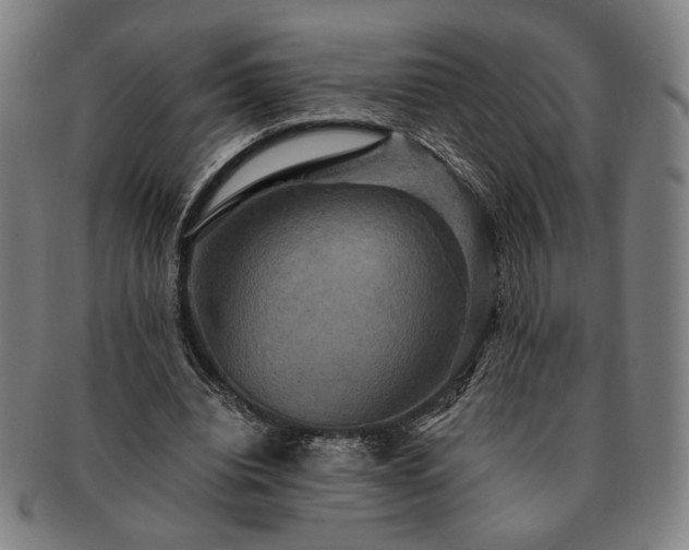 X0000091480440200708231404