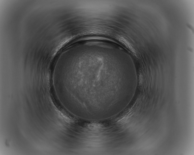 X0000091480444200708231404