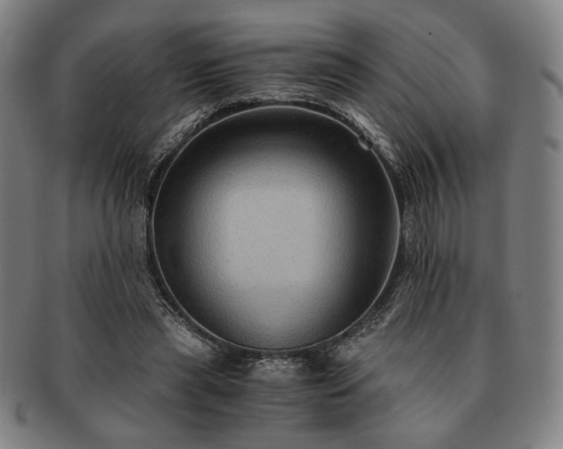 X0000091480445200708231404