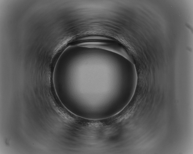 X0000091480446200708231404