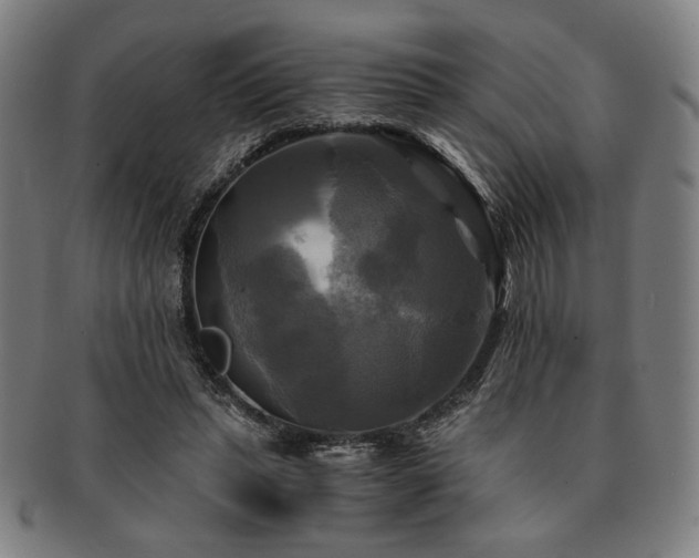 X0000091480447200708231404