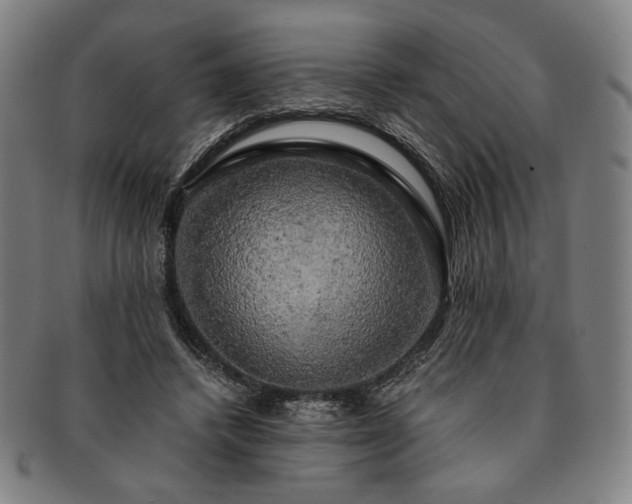 X0000091480448200708231404