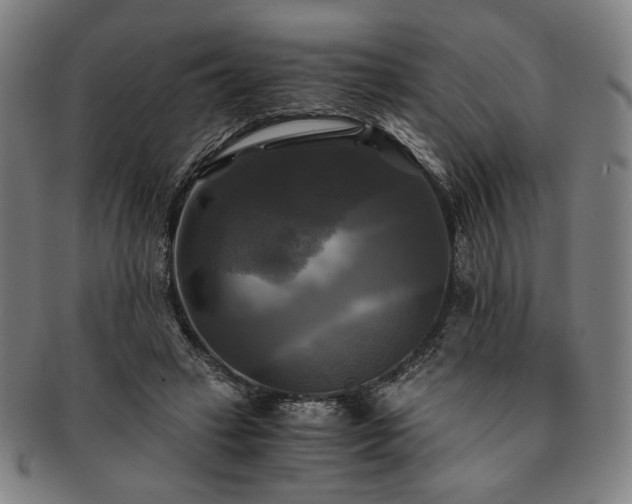 X0000091480449200708231404