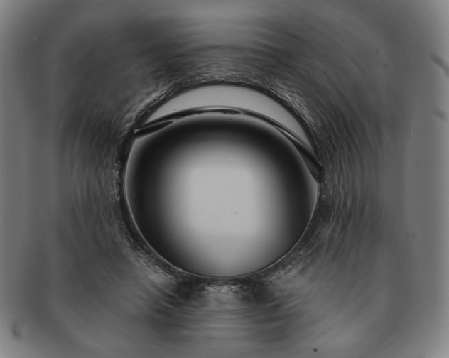 X0000091480450200708231404