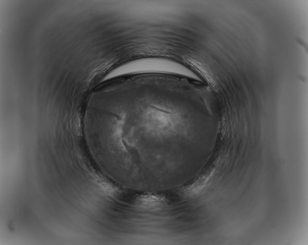 X0000091480453200708231404