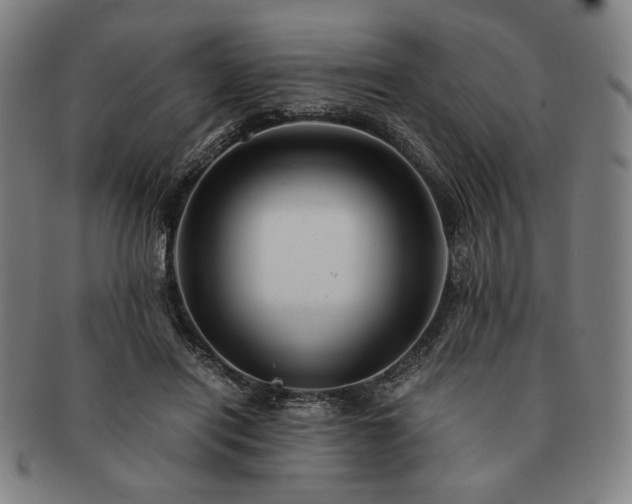 X0000091480454200708231404