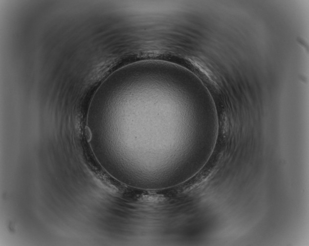 X0000091480455200708231404