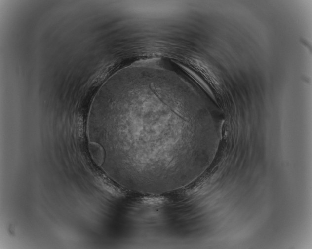 X0000091480457200708231404