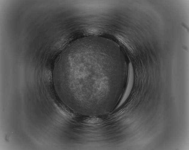 X0000091480459200708231404