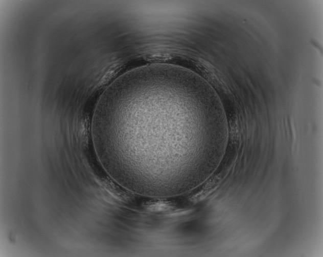 X0000091480460200708231404