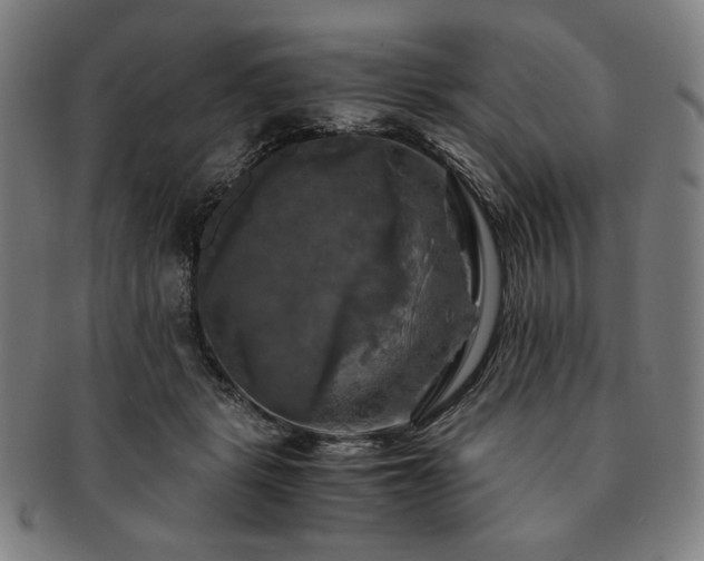 X0000091480461200708231404