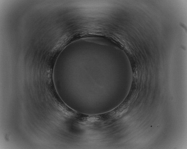 X0000091480462200708231404