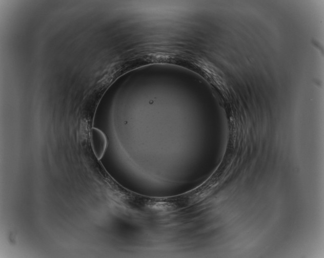 X0000091480467200708231404