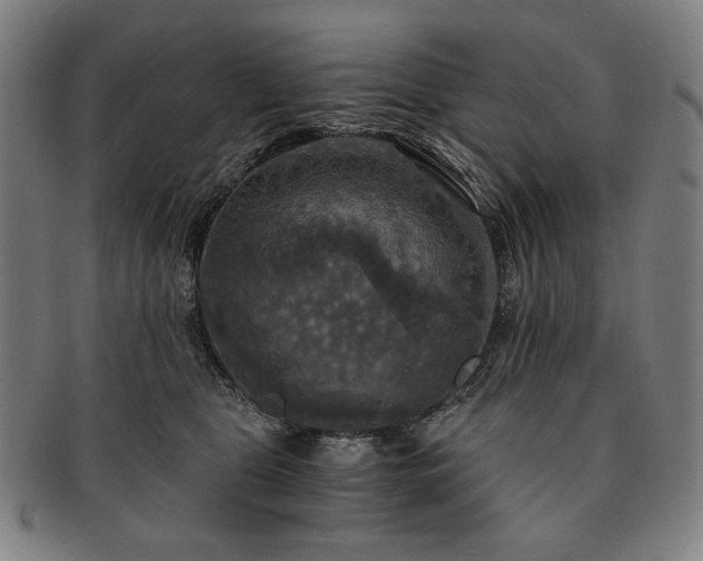 X0000091480469200708231404