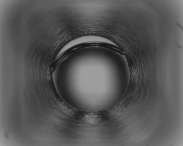 X0000091480470200708231404