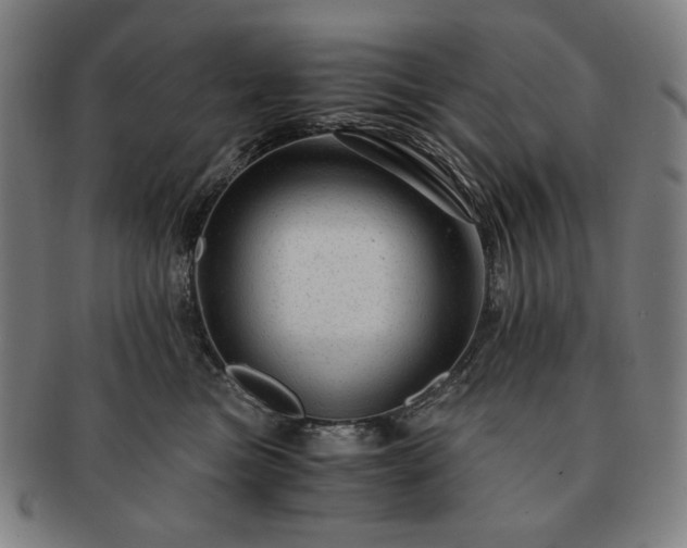 X0000091480473200708231404