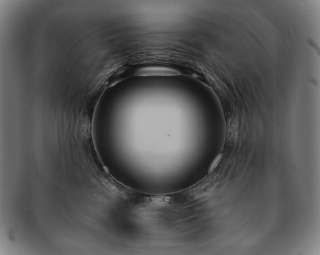 X0000091480474200708231404