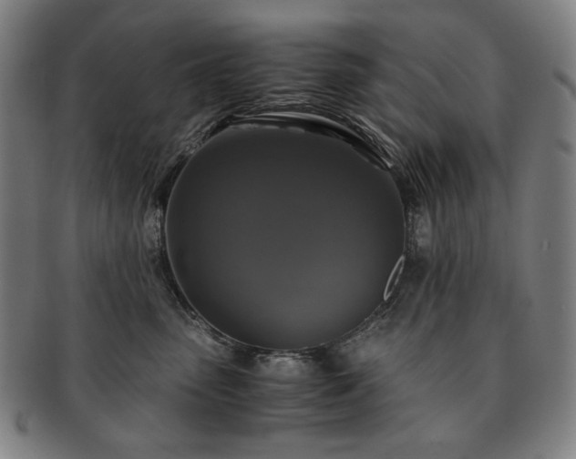 X0000091480475200708231404