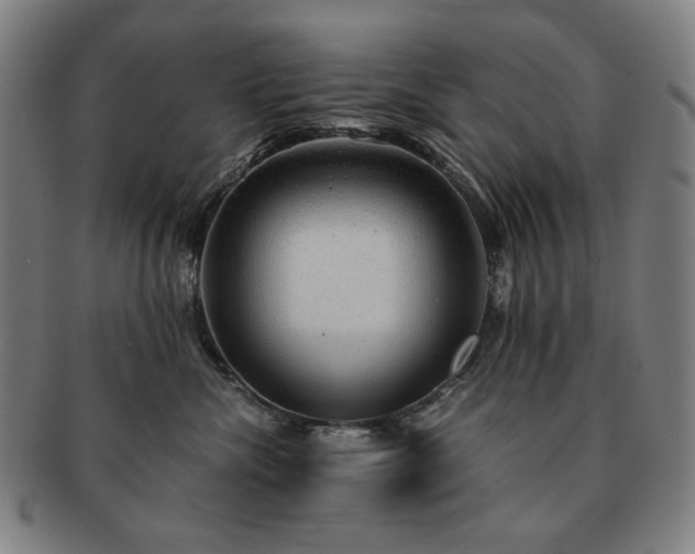 X0000091480476200708231404